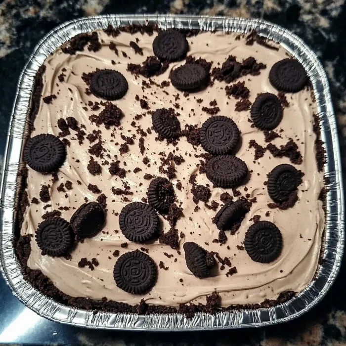 A pan of chocolate cake with chocolate chips.